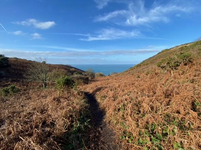 Lofty Labours: Wartime history along the North Coast