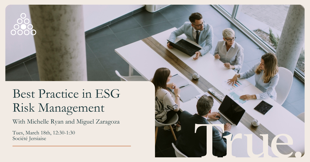 Best Practice in ESG Risk Management