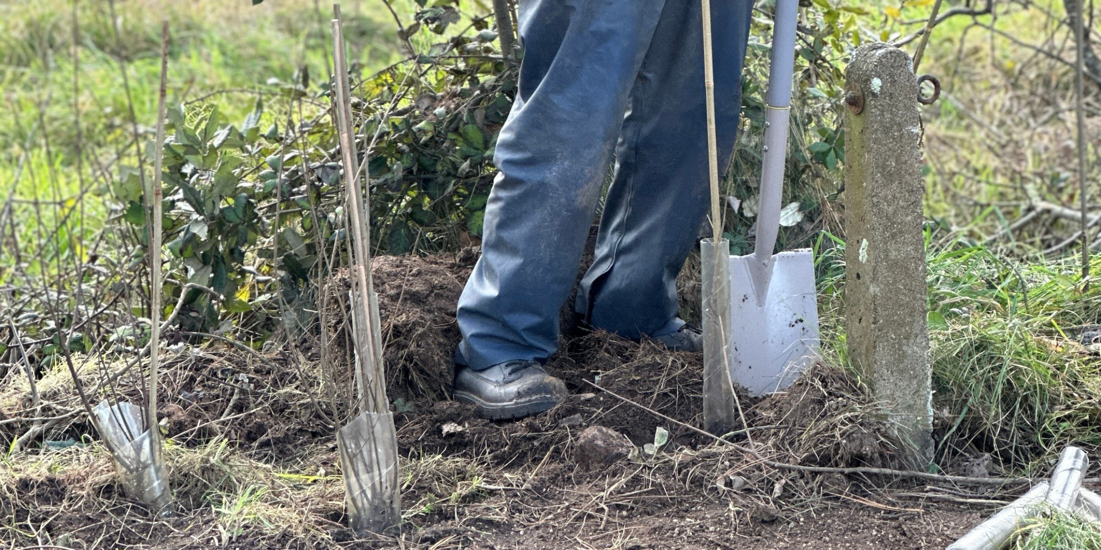 Last Plant Saloon: Tree planting with Jersey Trees for Life