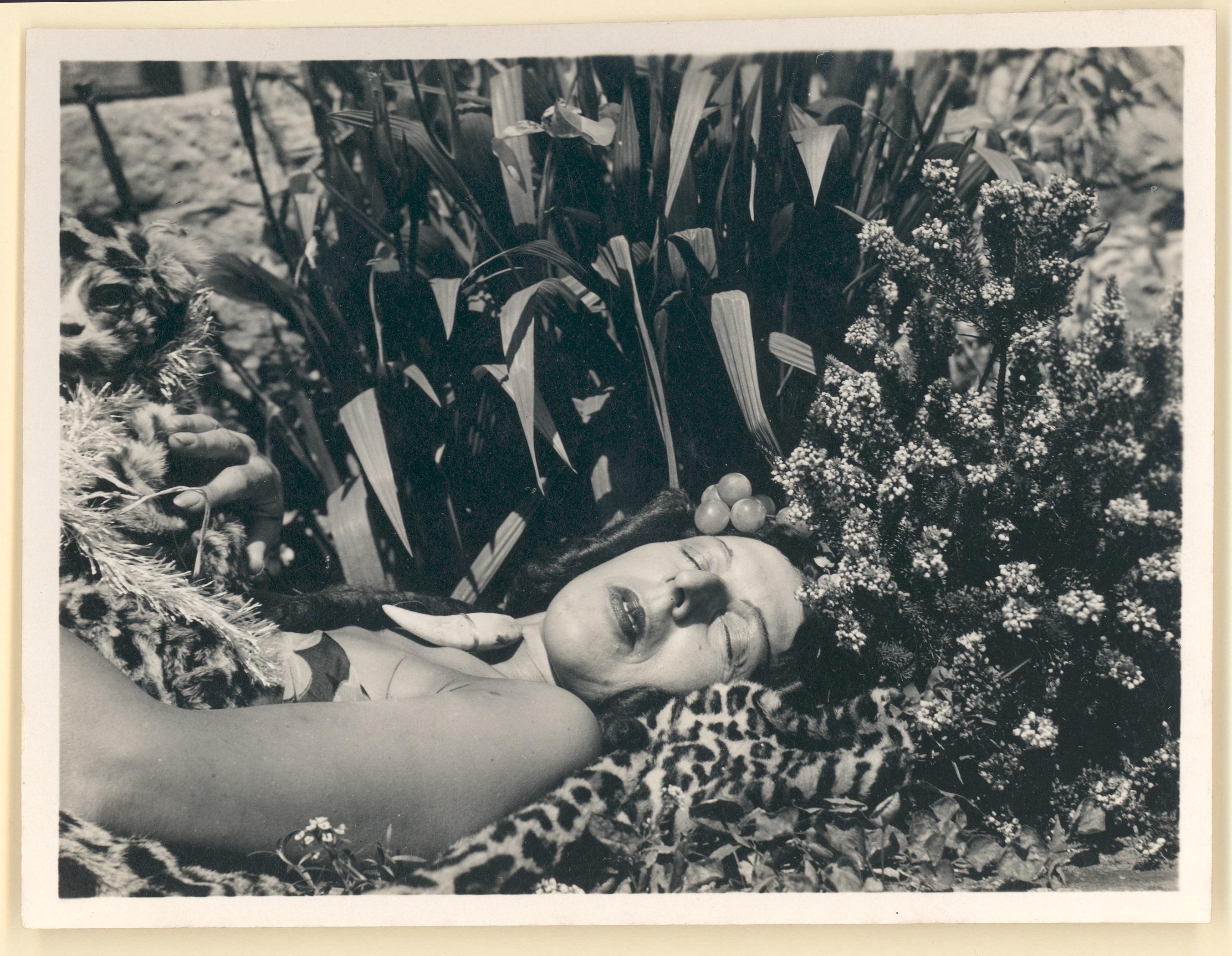 Love Letters to the Land