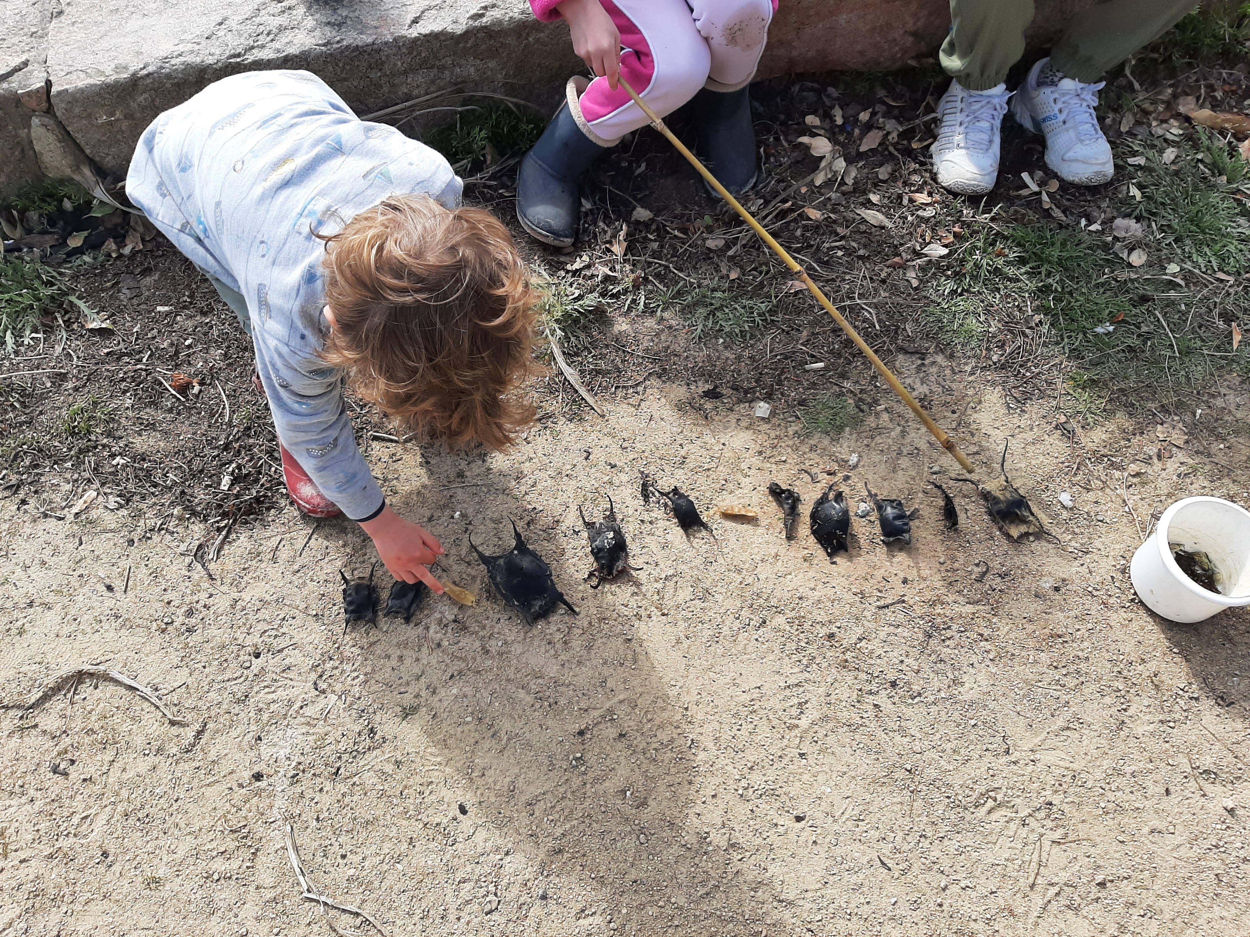 Easter (shark) egg hunt