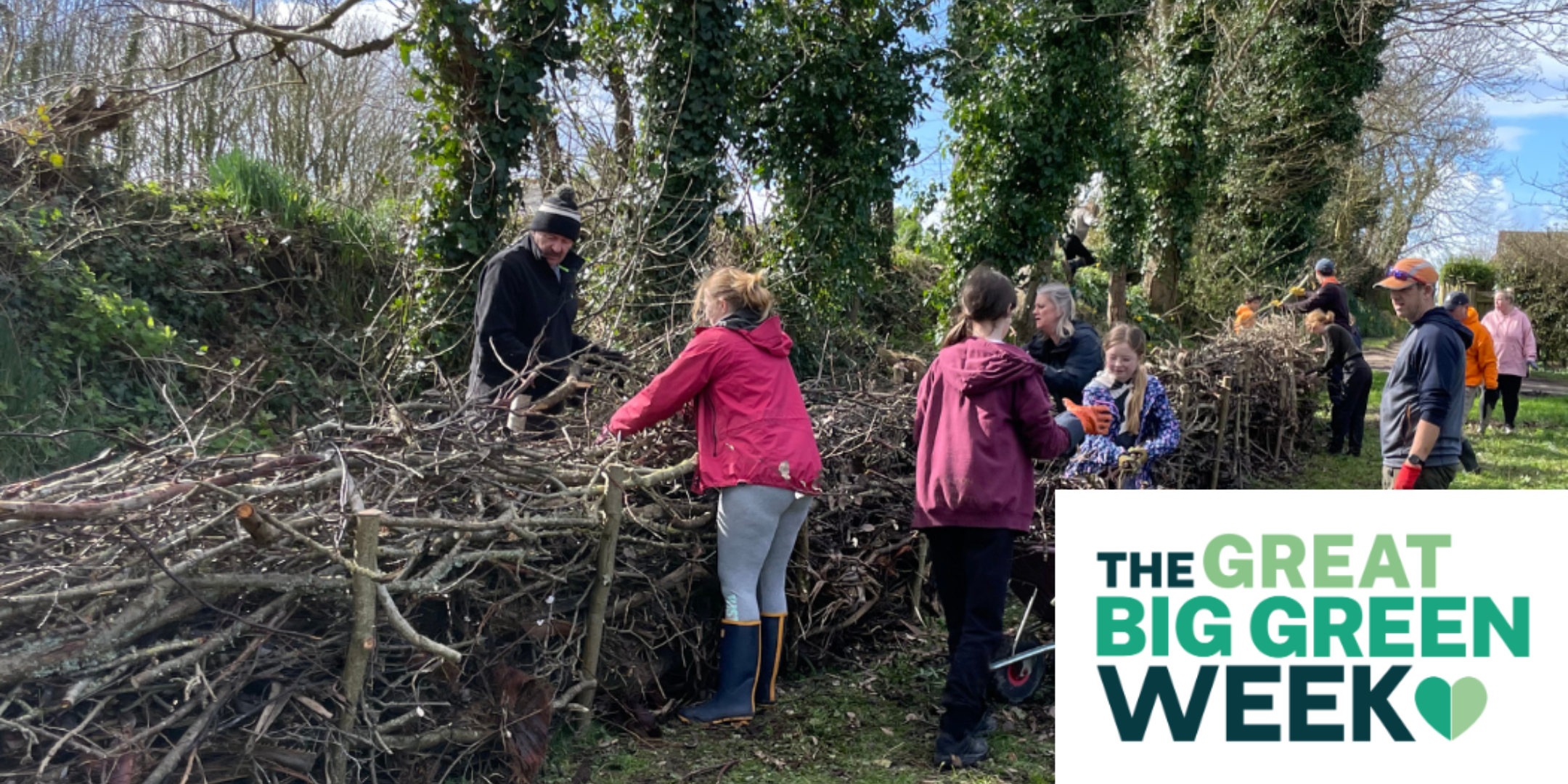 Green Wednesday - Jersey Trees for Life Volunteering (Great Big Green Week)