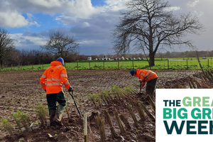 Green Monday - Jersey Trees for Life Volunteering (Great Big Green Week)