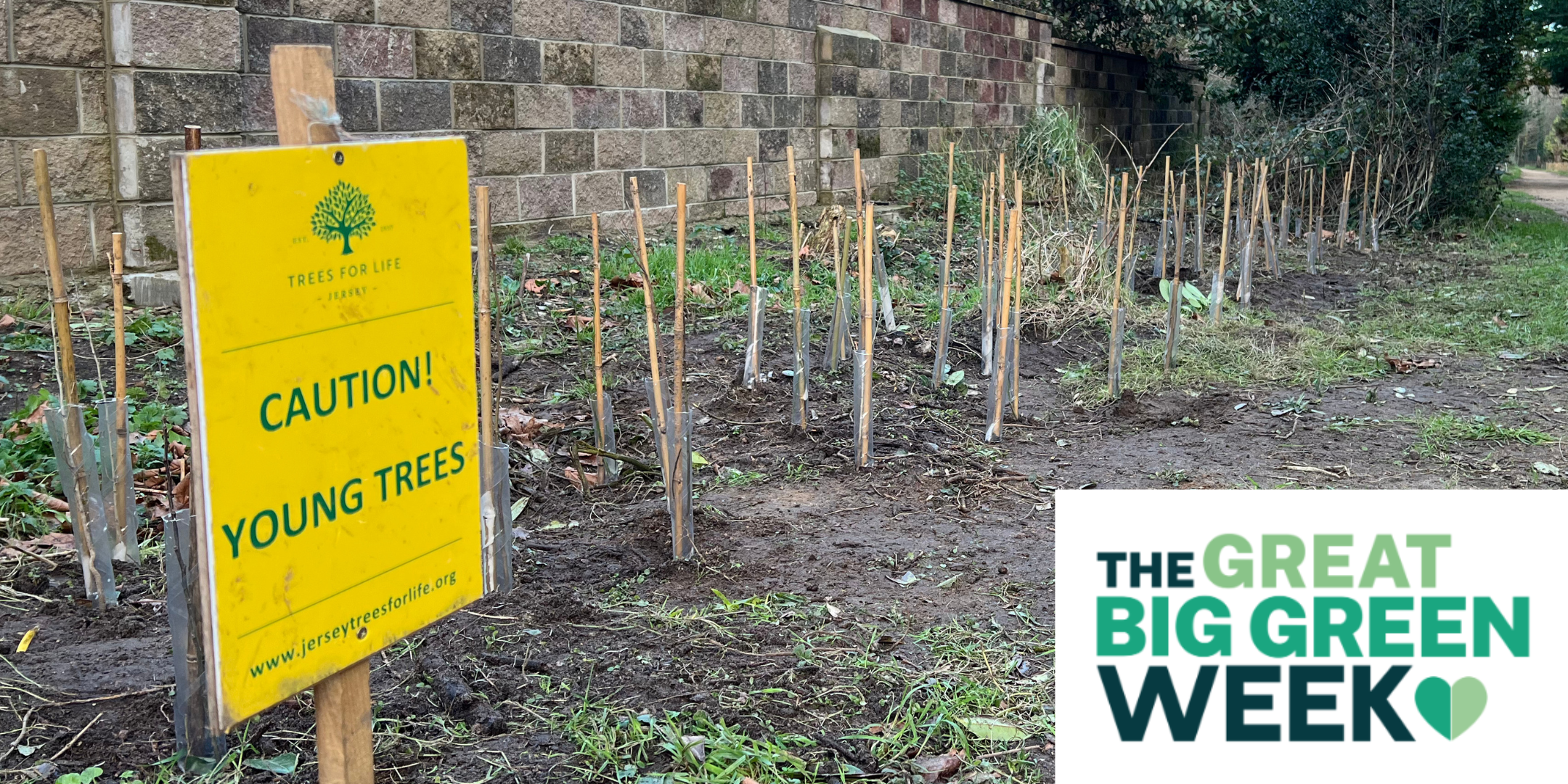 Green Friday - Jersey Trees for Life Volunteering (Great Big Green Week)