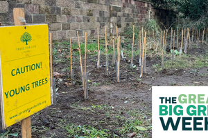 Green Friday - Jersey Trees for Life Volunteering (Great Big Green Week)