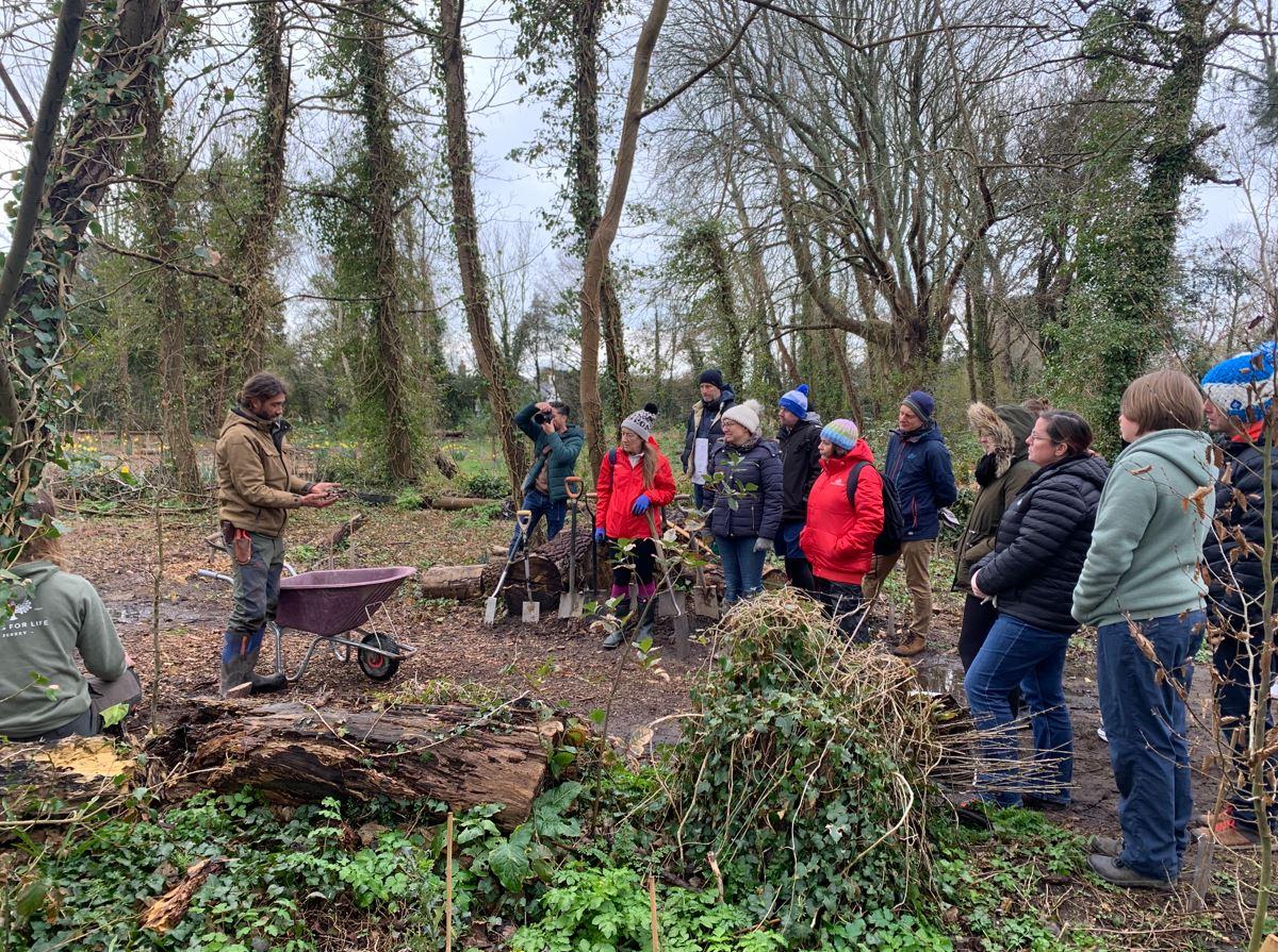 Greening Jersey (La Vallette)