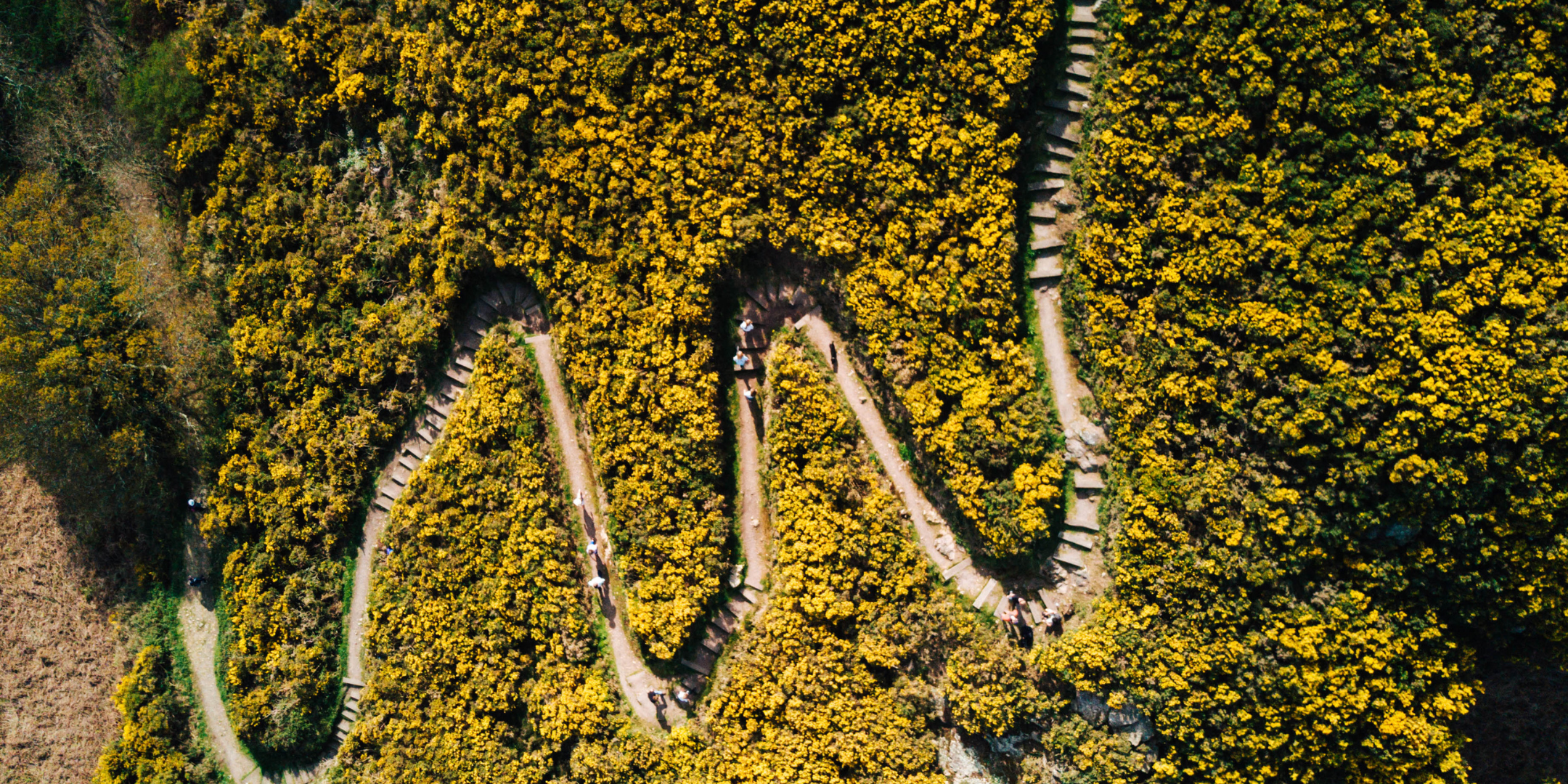 Paths less travelled