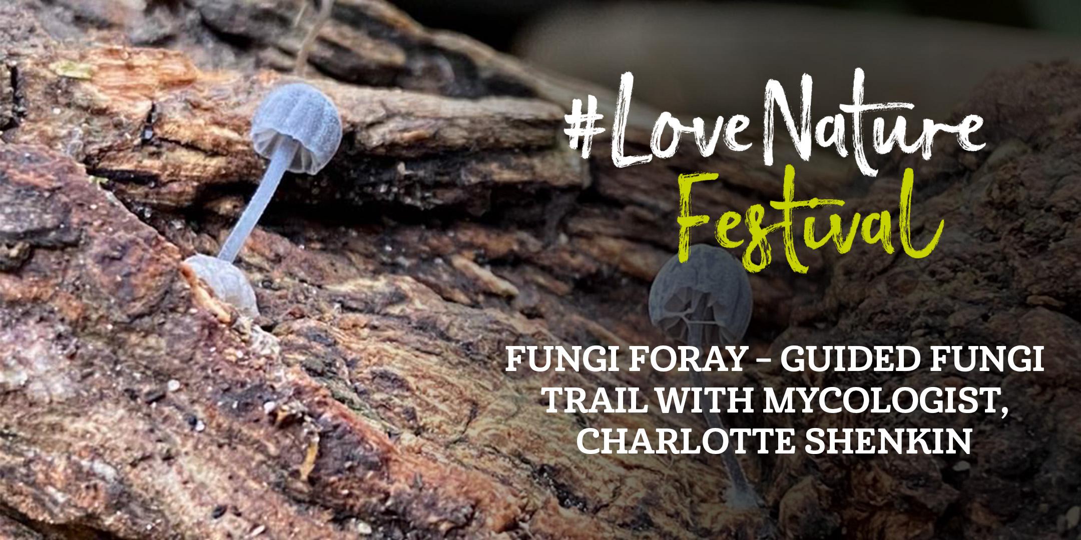#LoveNature Festival: Fungi Foray with Charlotte Shenkin