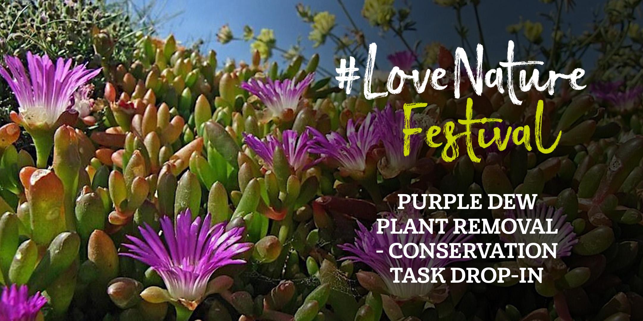 #LoveNature Festival: Purple Dew Plant removal - conservation task drop-in