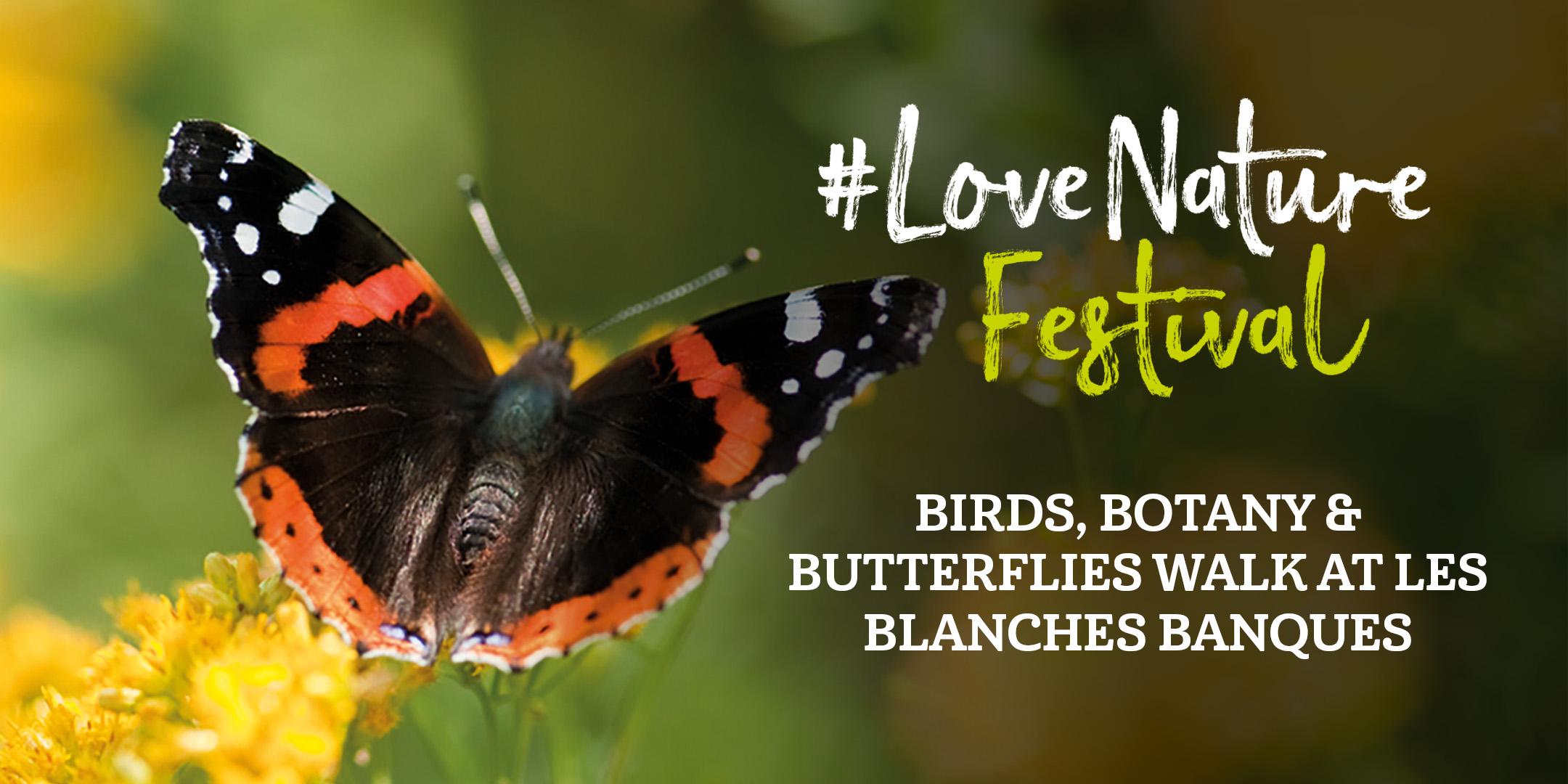 #LoveNature Festival: Birds, Botany and Butterflies Walk