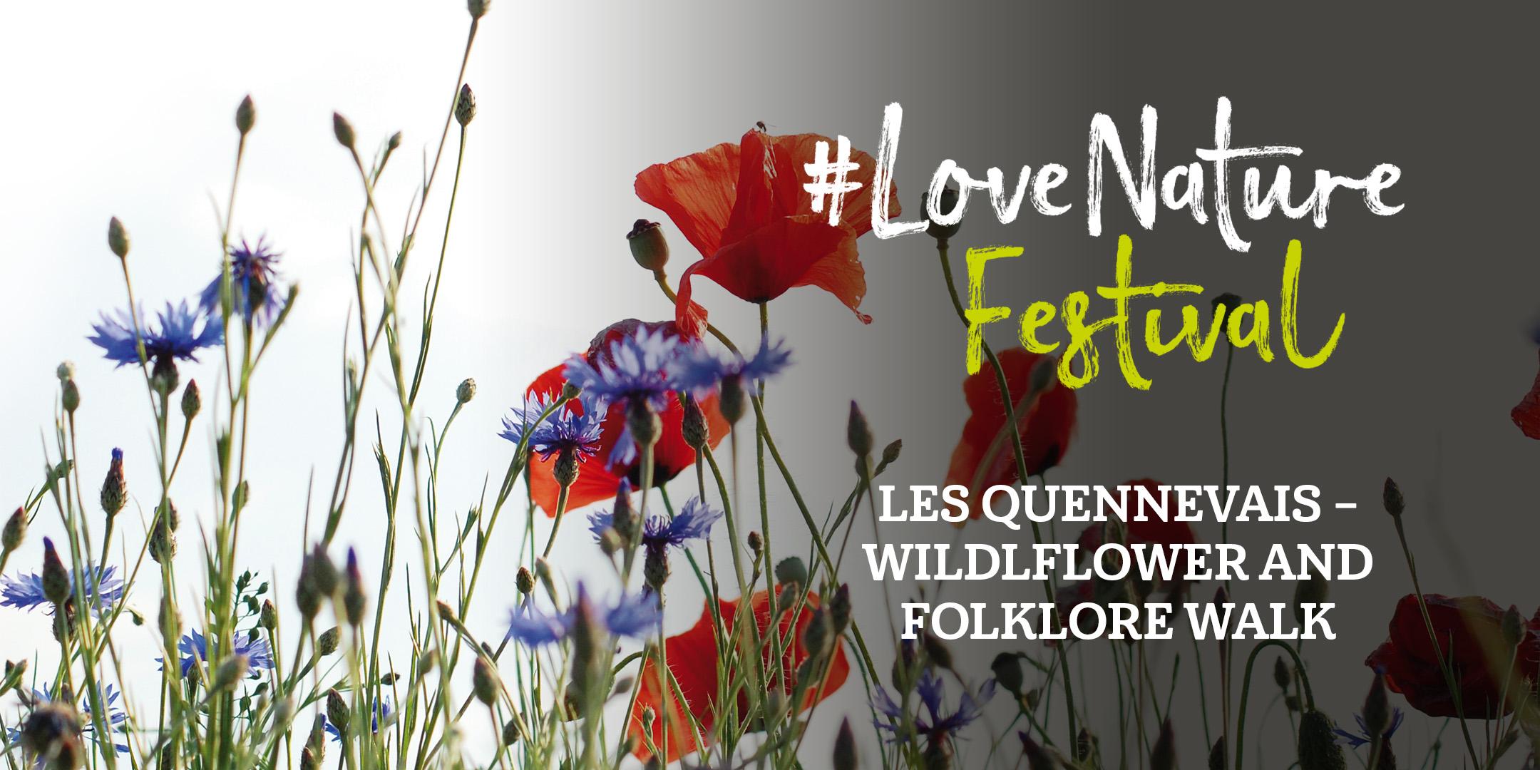 #LoveNature Festival: Les Quennevais – Wildflower and Folklore Walk