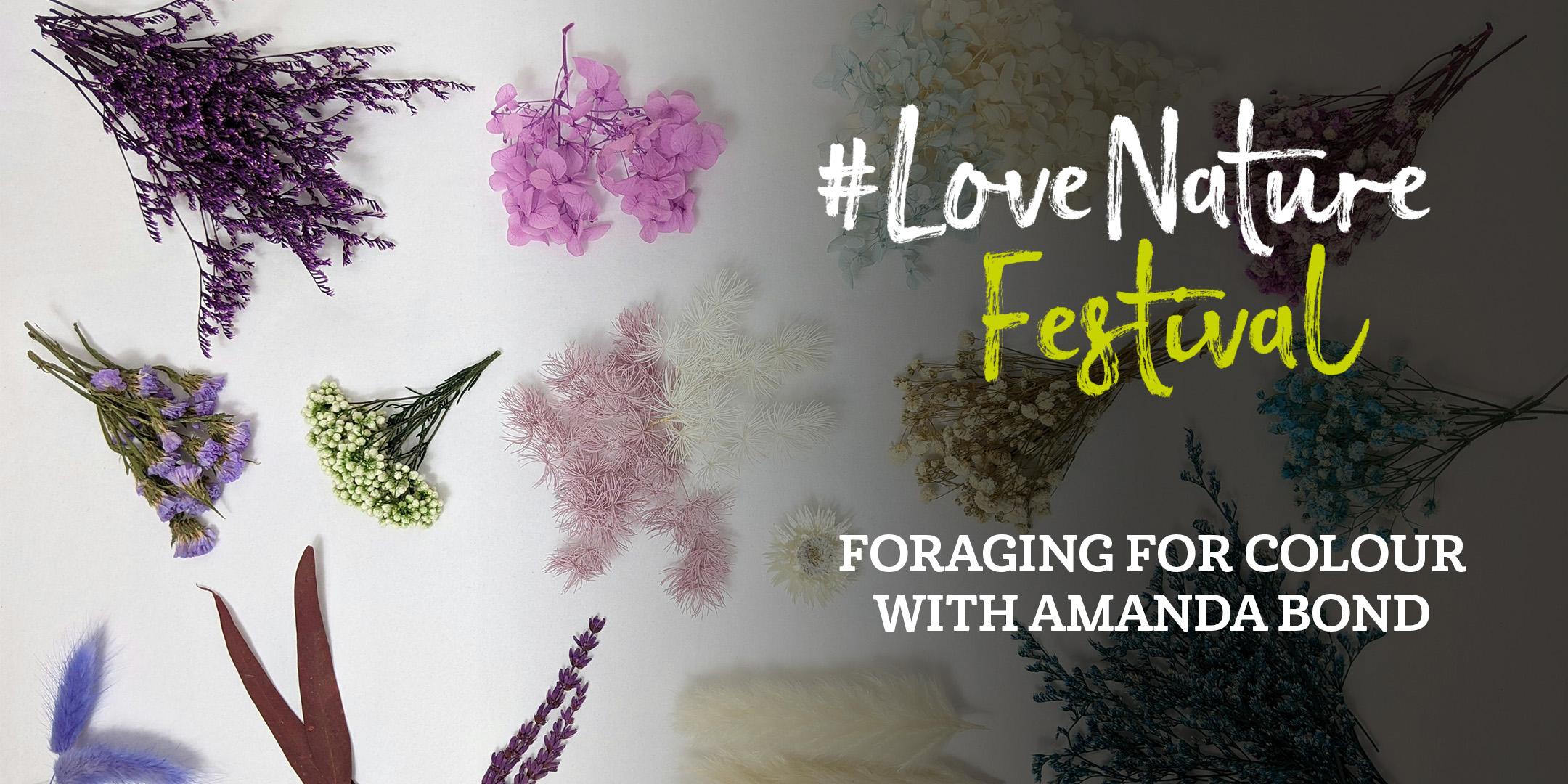 #LoveNature Festival: Foraging for Colour with Amanda Bond