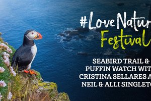 #LoveNature Festival: Seabird Trail & Puffin Watch