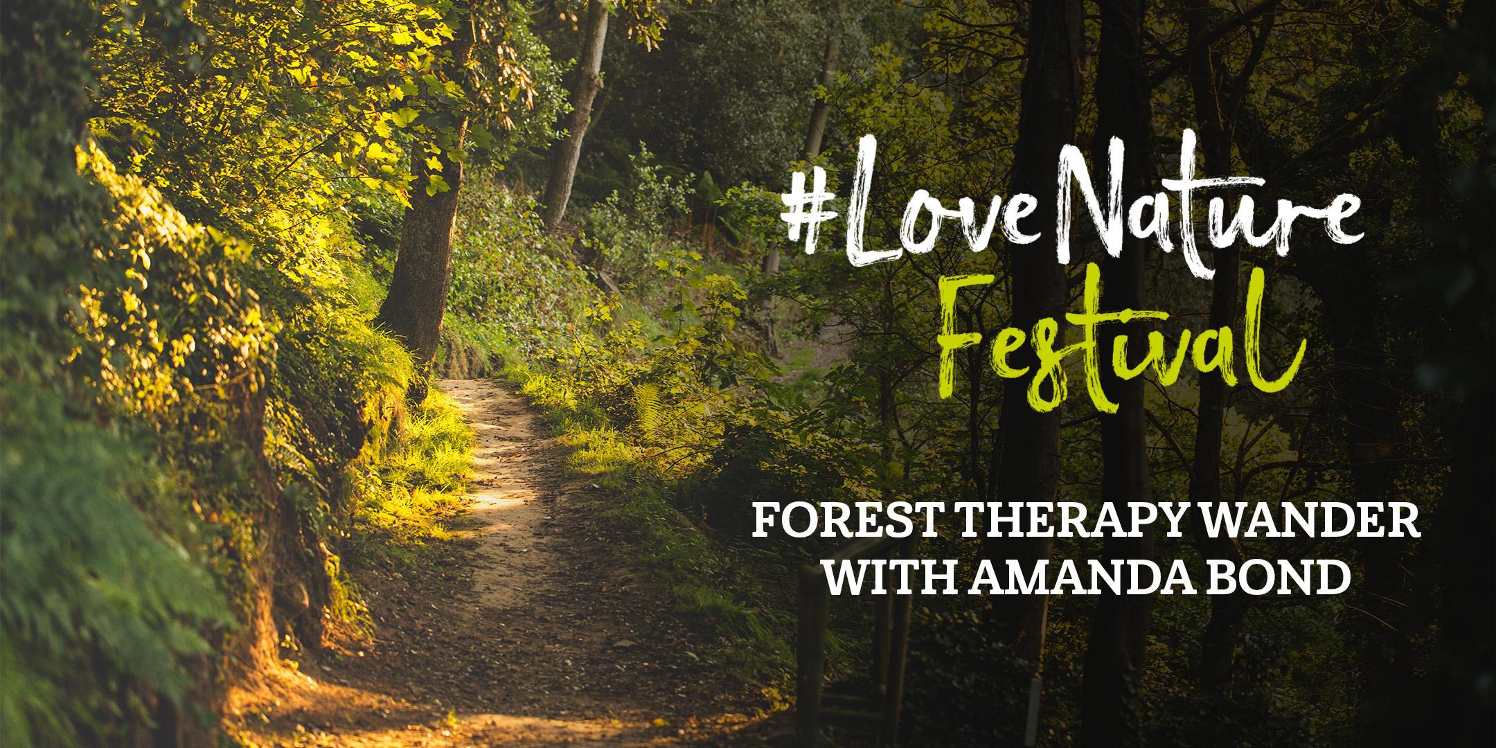 #LoveNature Festival: Forest Therapy wander with Amanda Bond