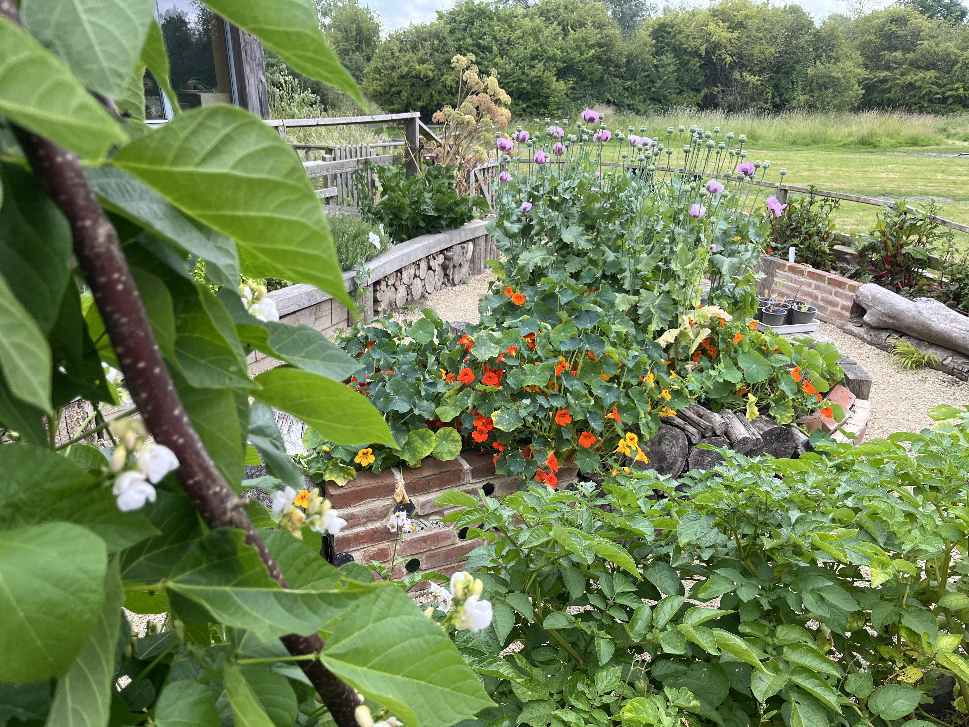 Wildlife Gardening Workshop: Low Input Gardening and Wildlife Ponds - Sutton Courtenay