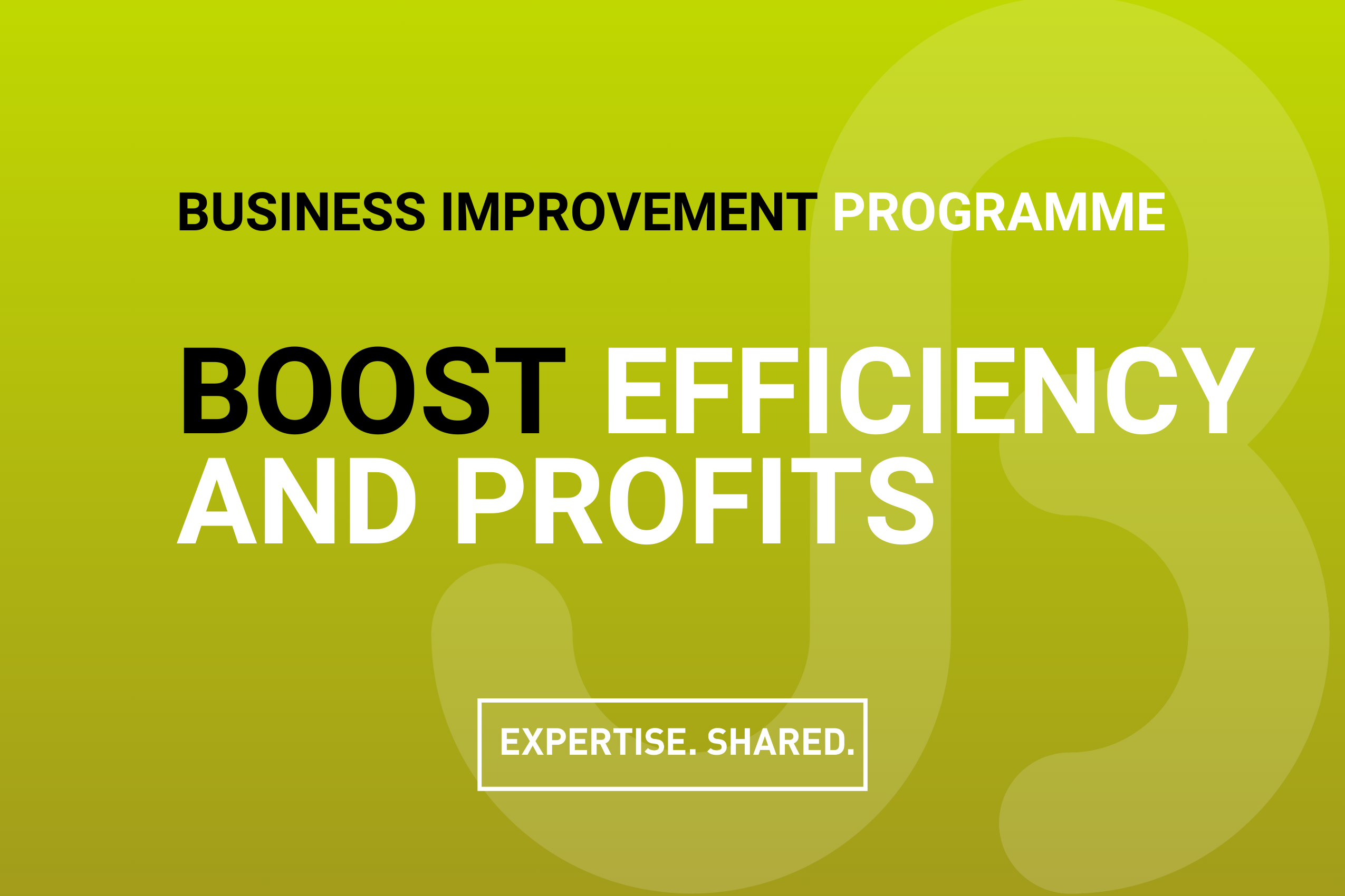 Business Improvement Programme September 2025