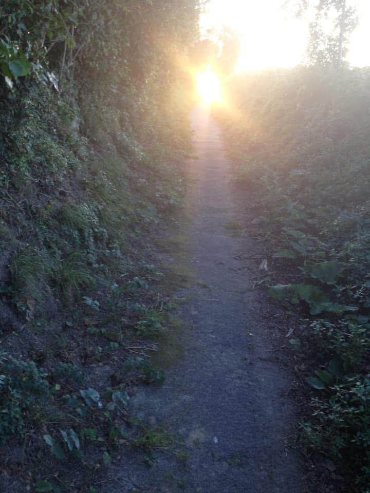 Stroll In Jersey Twilight Walk St. Clement