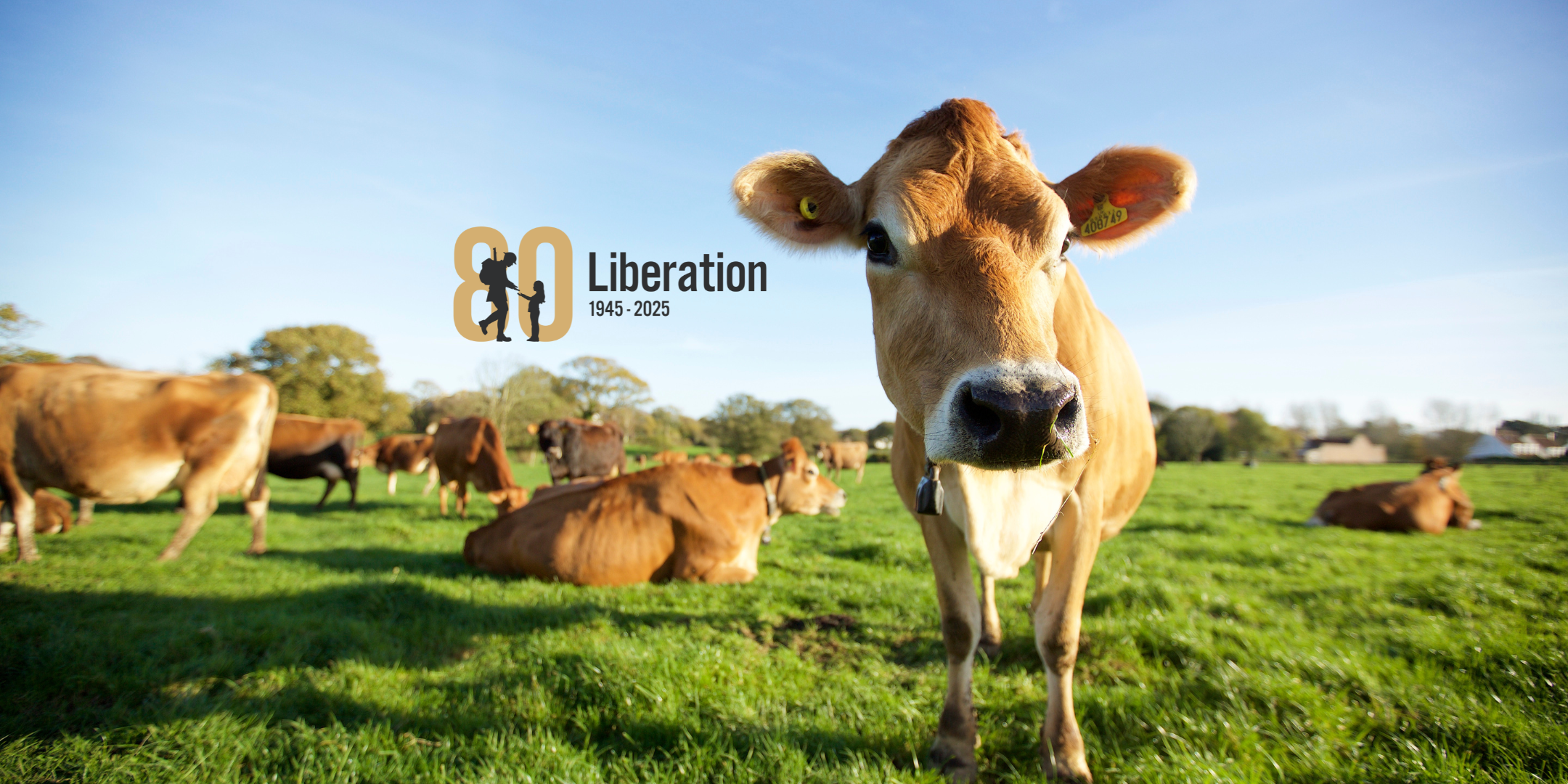 From Grass to Glass: A Liberation Tour