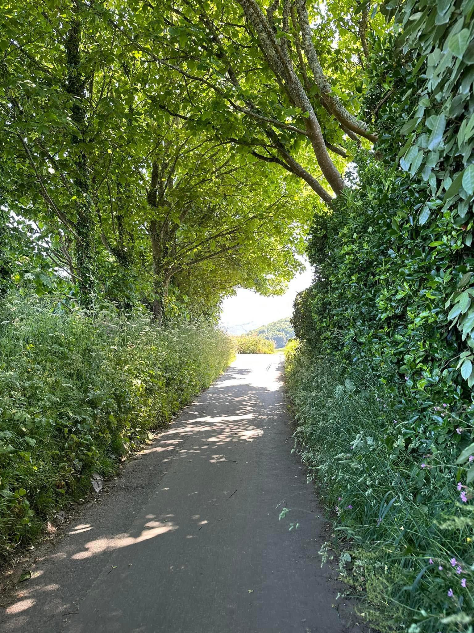 Stroll In Jersey St. Martin Walk