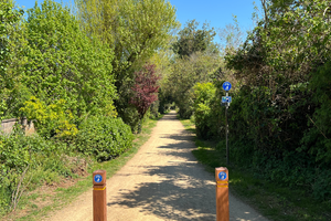 Weed the Walk - Volunteering with Jersey Trees for Life