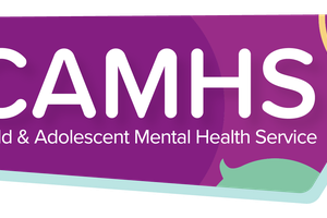 CAMHS Early Intervention Training Day