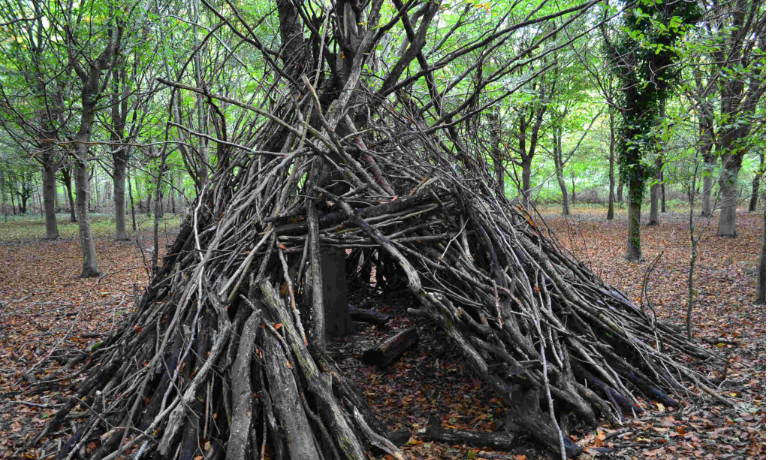 Den Building