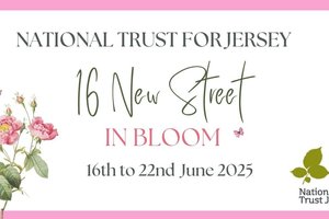 16 New Street in Bloom: Tea among the flowers