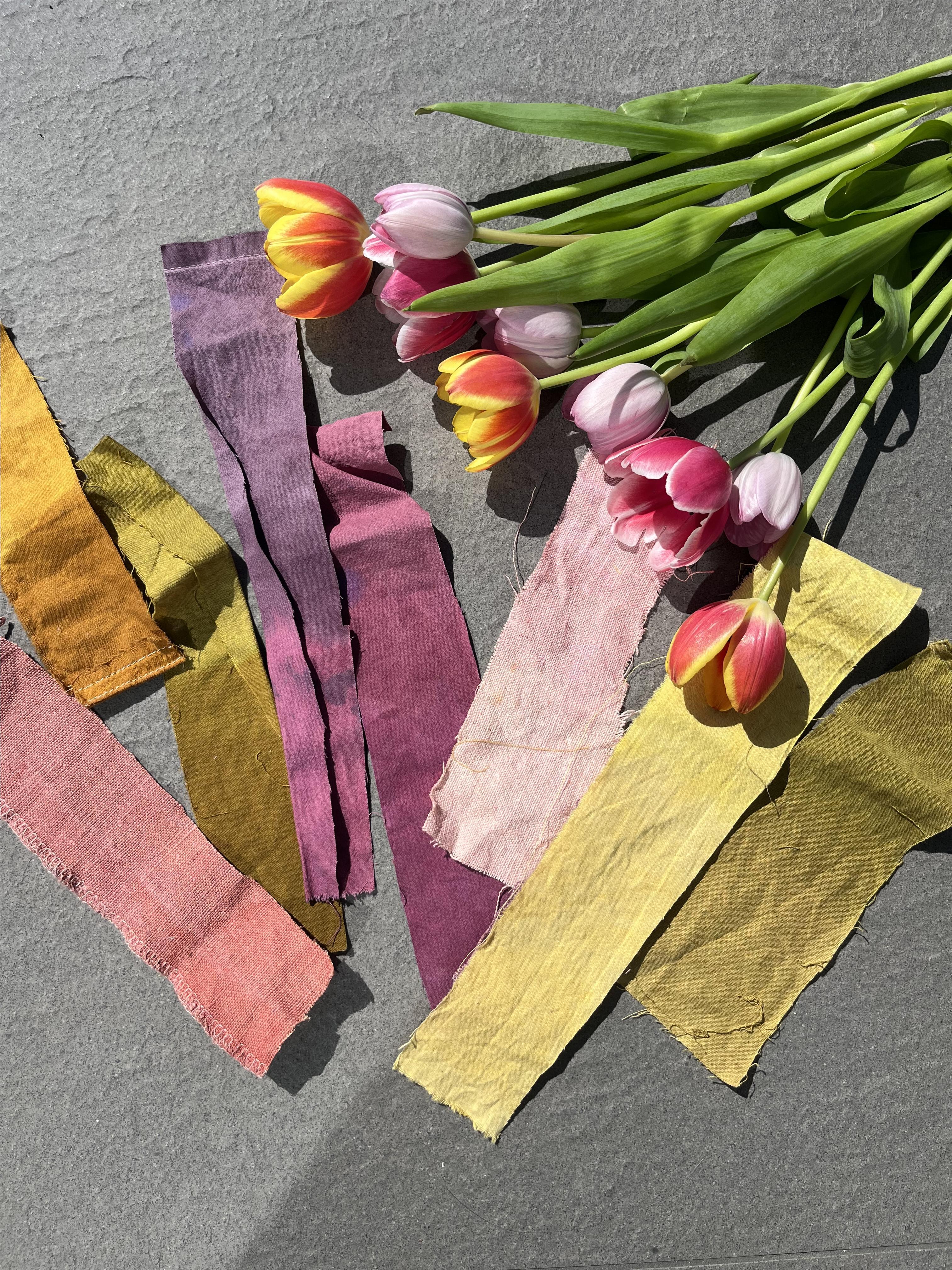 Textiles Course: Print & Applique